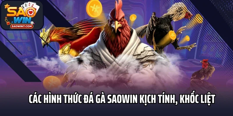 Các hình thức đá gà Saowin kịch tính, khốc liệt