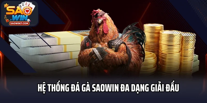 Hệ thống đá gà Saowin đa dạng giải đấu