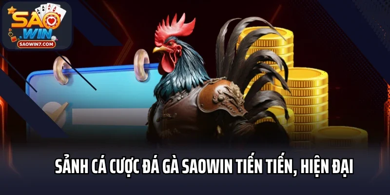 Sảnh cá cược đá gà Saowin tiến tiến, hiện đại